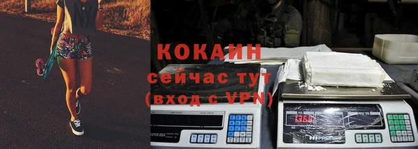 гашик Сосновый Бор
