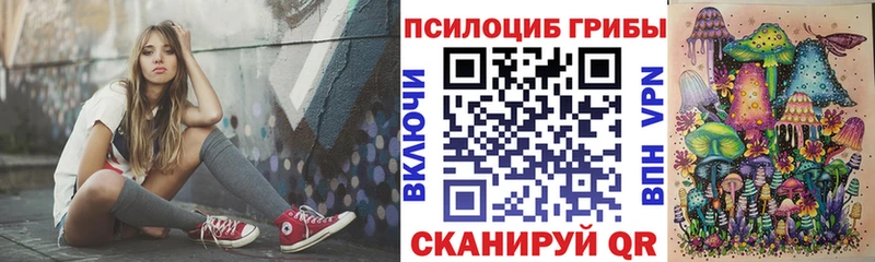 Галлюциногенные грибы Psilocybe  Луховицы 